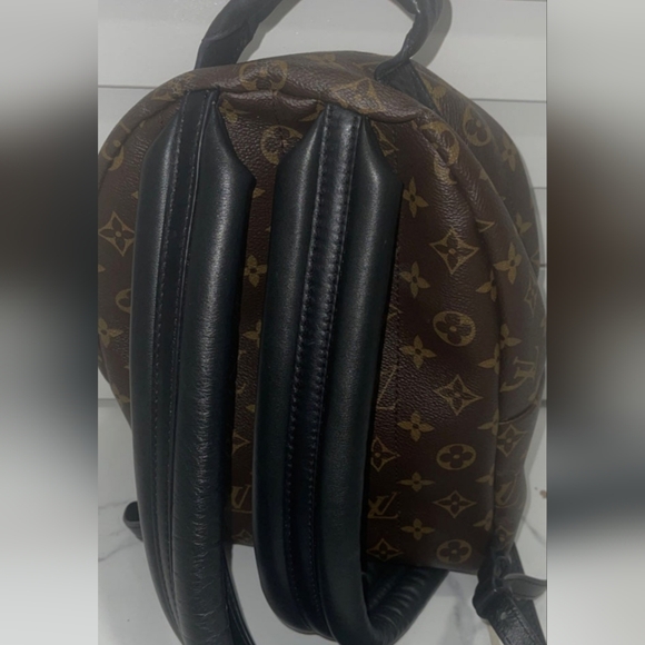 Louis Vuitton Palm Springs PM - Picture 5 of 13